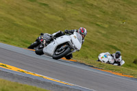 PJ-Motorsport-2019;anglesey-no-limits-trackday;anglesey-photographs;anglesey-trackday-photographs;enduro-digital-images;event-digital-images;eventdigitalimages;no-limits-trackdays;peter-wileman-photography;racing-digital-images;trac-mon;trackday-digital-images;trackday-photos;ty-croes